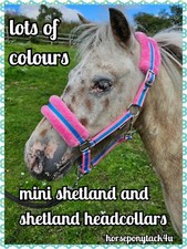NEW COLOURS SMALL MINIATURE HORSE MINI SHETLAND PONY FUR PADDED HEADCOLLARS