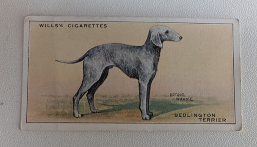 Dogs wills 1937 cigarette - wills,,