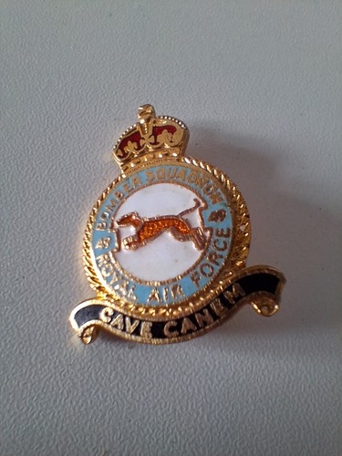 Raf badge cave - raf,