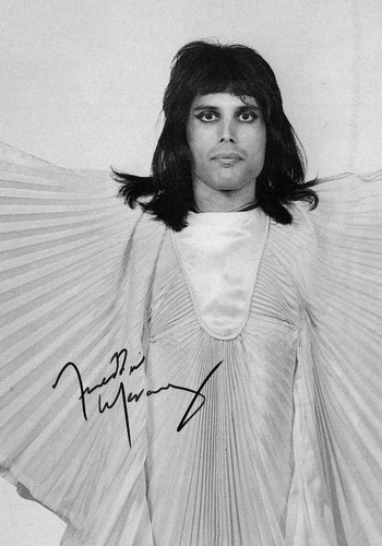 Freddie mercury queen - freddie,