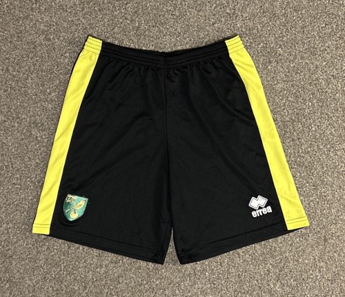 Norwich city errea training - norwich,