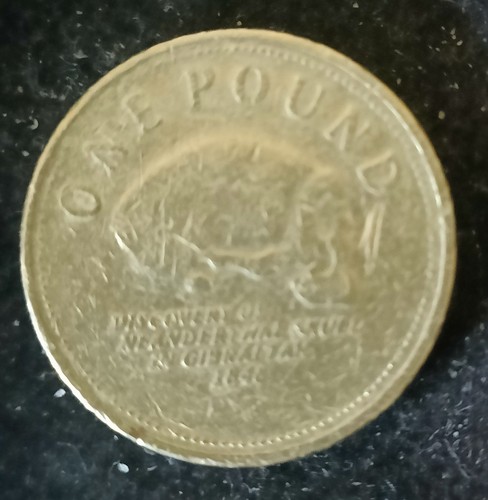 0738 gibraltar pound - pound, coin