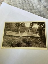 Vintage sepia postcard moss - vintage,