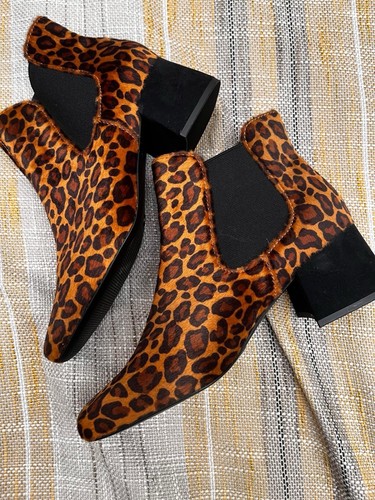 Collection leopard print - leopard,