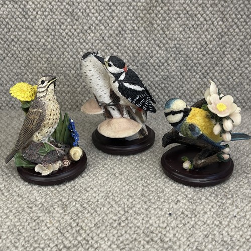 Country bird collection - country,