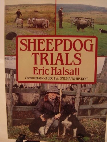 Sheepdog trials halsall - sheepdog, by