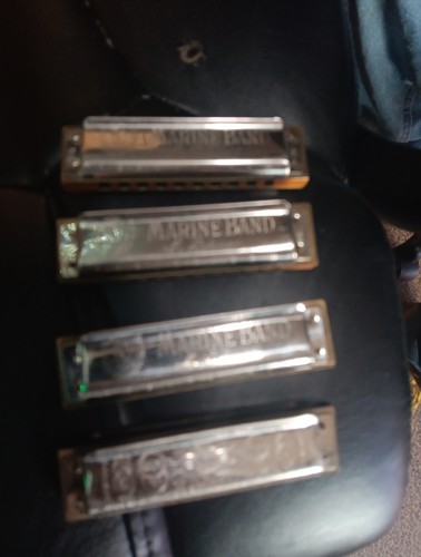 Vin 1873 hohner - 4,