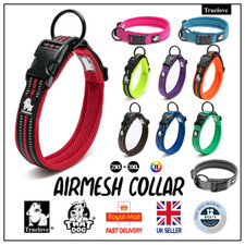 Dog Collar Truelove Air Mesh