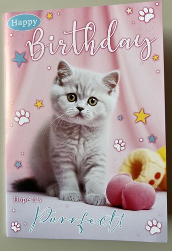 Silver tabby cute kitten - cute,