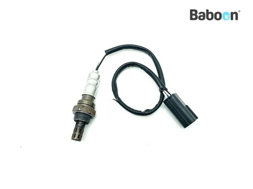 Oxygen sensor ducati monster - sensor,