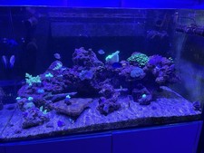Aqua Marin 900 Pro Aquarium