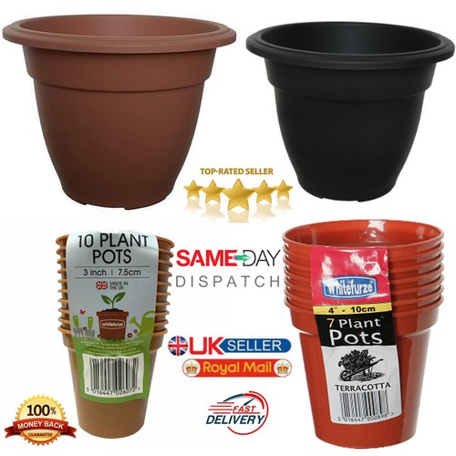 Plant large bell - large,