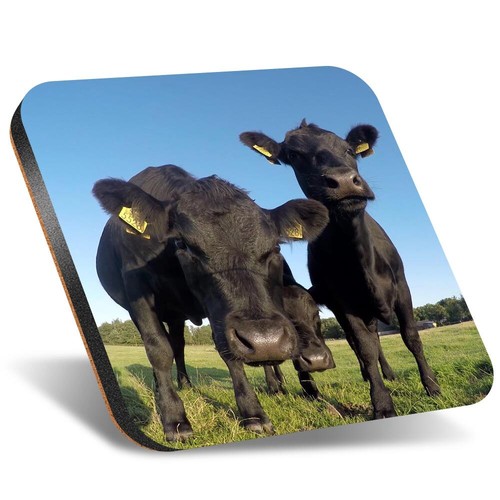 Square coaster 12cm black - 1x,
