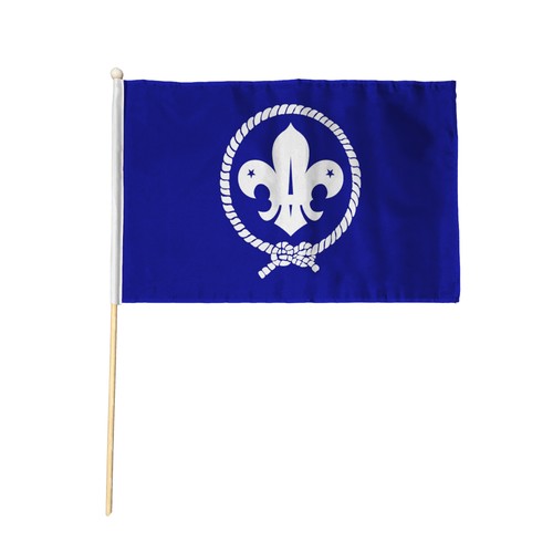 Flagtex scouts blue hand flag - flagtex,