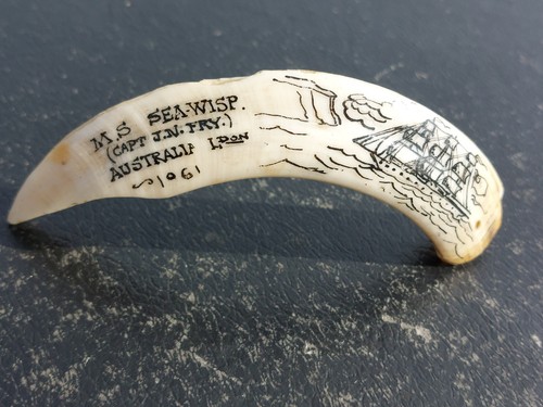 Vintage hand carved wild boar - vintage,