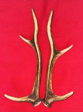 PAIR OF RED DEER ANTLERS,  513g. aprox.41cm.