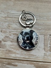 Staffordshire Bull Terrier