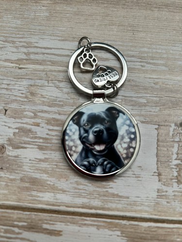 Staffordshire bull terrier - staffordshire,