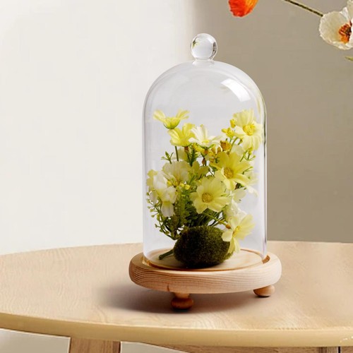 Cloche glass dome display - glass, bell