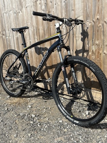 Marin bobcat trail - bobcat,