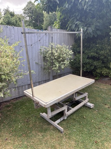 Electronic dog grooming - , table