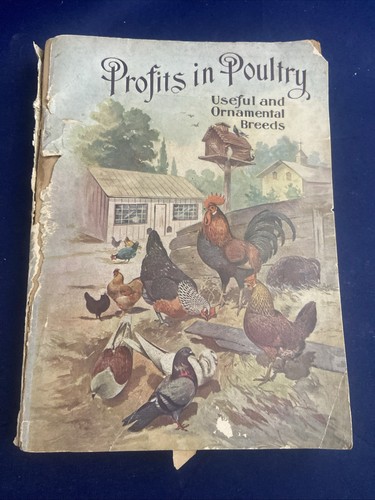 Profits poultry american - -,