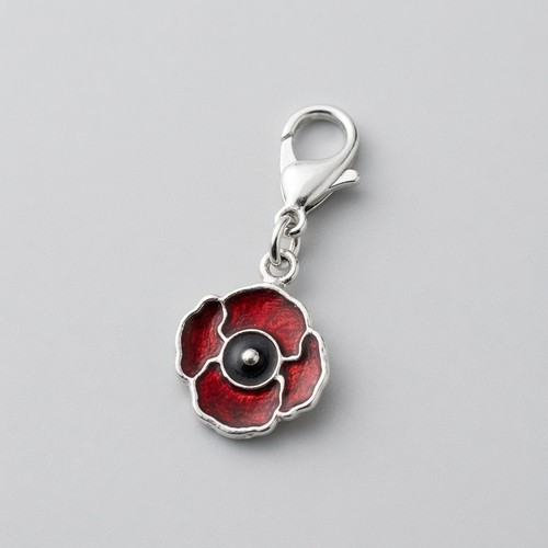 Sterling silver enamelled - sterling,