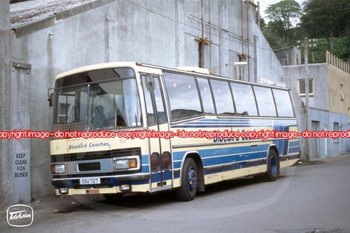 Coach photo midland bluebird - coach,