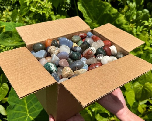 Wholesale assorted - wholesale, 20