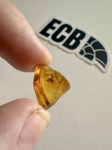 Baltic amber with insect - amber,