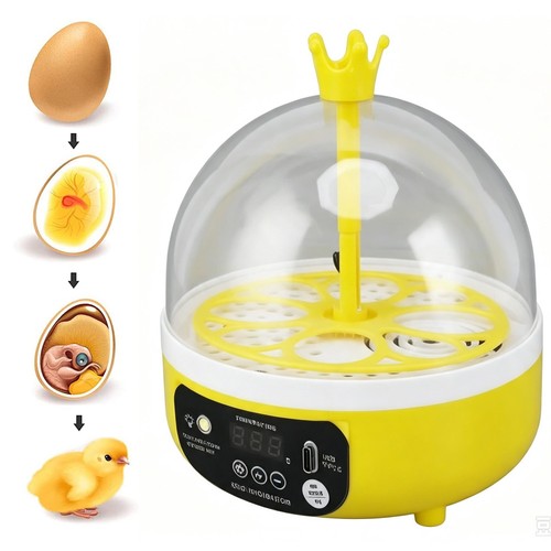 Egg incubator automatic eggs - egg,