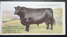 ABERDEEN ANGUS BULL   Vintage 1915 Illustrated Cattle Card  JE17MS