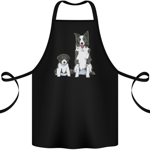 Border collie and puppy - border,