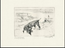 IRISH WATER SPANIEL GOOSE OLD 1930'S DOG ART PRINT OF GUNDOGS by VERNON STOKES