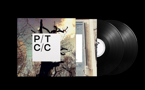 Porcupine tree - porcupine,