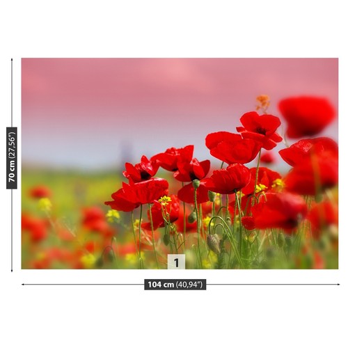 Non woven wall mural photo - non,