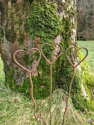 Wiggley hearts plant supports - hearts,