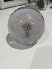 Dandelion flower resin hafod - dandelion,