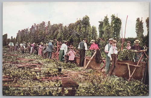 Hop picking set pickers at - hop,