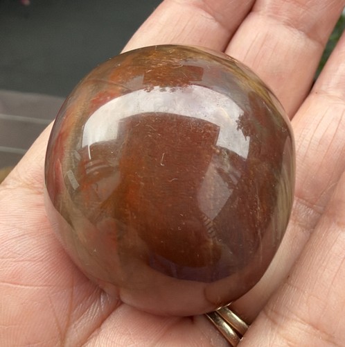 Petrified wood crystal - petrified,
