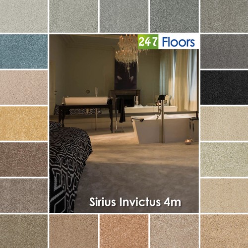 Sirius invictus carpet - carpet, by