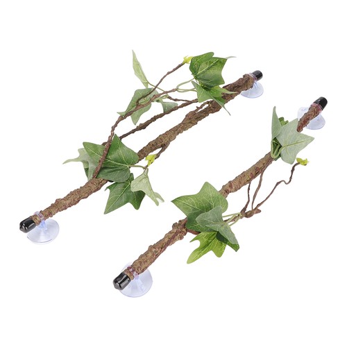 Reptile corner branch - reptile,