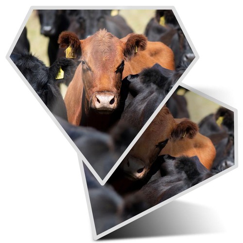 Diamond shape vinyl - 2x,
