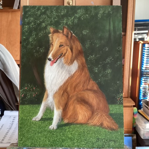 Rough collie dog acyrilic - rough,