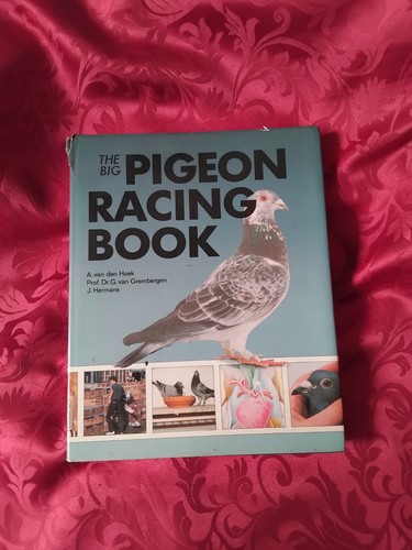The big pigeon - pigeon, book