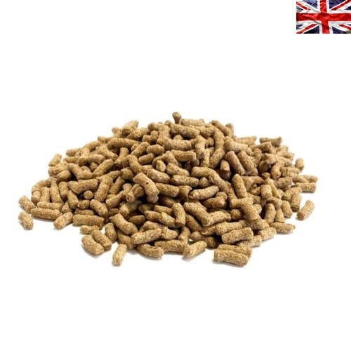 Pond fish food sticks - fish,