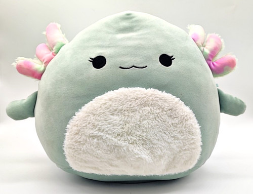 Squishmallows chasmen the - squishmallows,