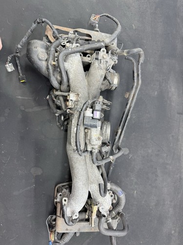 Subaru impreza wrx bug - subaru,