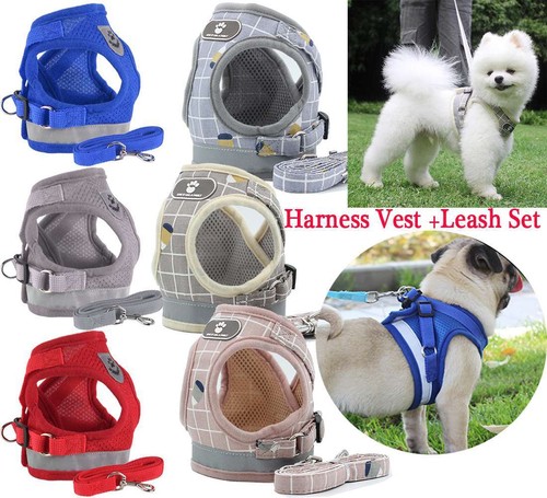 Pull dog pet harness - no,