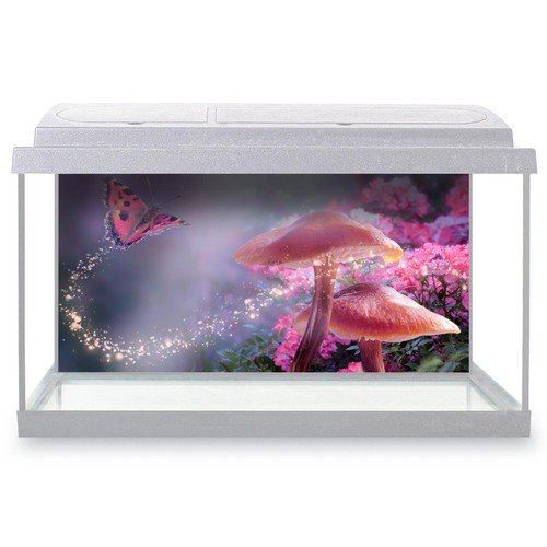 Fish tank background - background, magical
